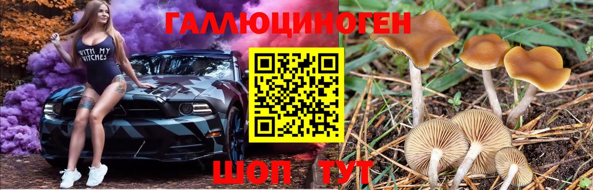 Псилоцибиновые грибы мухоморы Кимовск