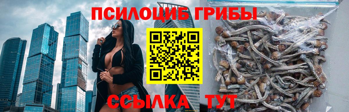 Галлюциногенные грибы Psilocybine cubensis  Вход с VPN  Кимовск  Псилоцибиновые грибы MAGIC MUSHROOMS 